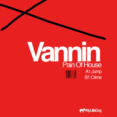 Vannin - Jump (original mix)
