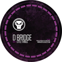 D Bridge - The Little Things - Meth099