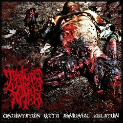 Torture the Mass - Rape the Babe