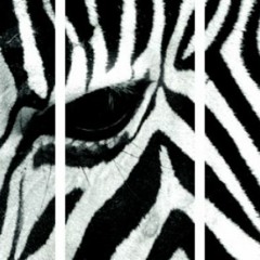 TicK - Das Zebra im Wohnzimmer - (Home Master II)