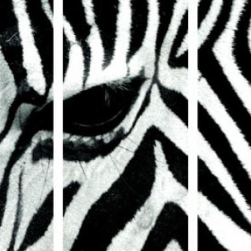 TicK - Das Zebra im Wohnzimmer - (Home Master II)