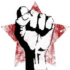 Polyphonia- viva la revolution(audio riot remix)