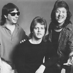 Amy's Friend by Tim Cook