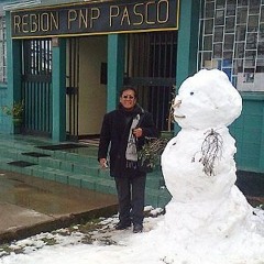 Muñeco de nieve en verano - OS GRU