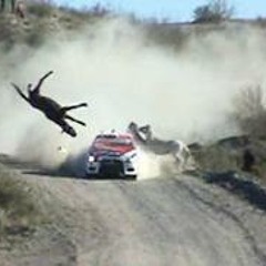 Testigos del fin del mundo