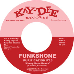Purification Pt.3 Kenny Dope Mix (Snip)-Funkshone
