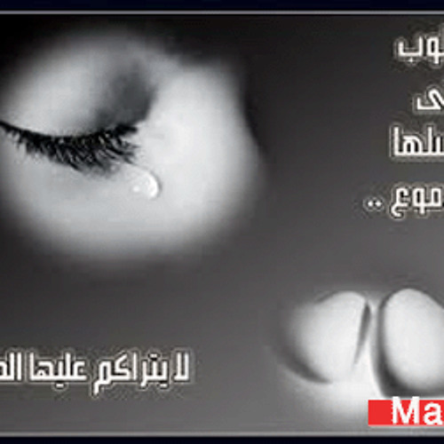 Marafi-alebda.comf6b09cee32