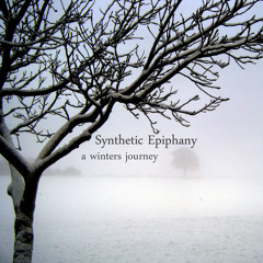Synthetic Epiphany - This Metal Skin