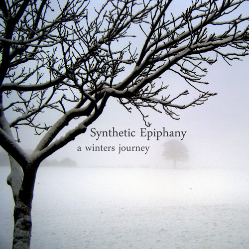 Synthetic Epiphany - This Metal Skin