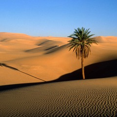 Desert of My Mind