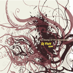Dj FioN - The Sound Of Breakbeat