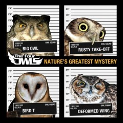 The Four Owls Champions ft Q-Unique