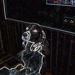 D-Blop-DJ Audio Ninja-2012-Original_