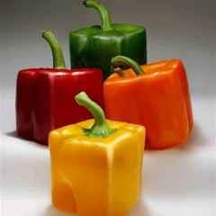 화이트 - 네모의 꿈(ver.Gold)