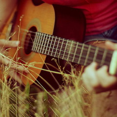 Wild Guiter
