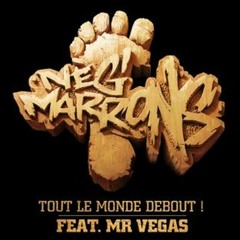 Tout le monde debout pour les neg marrons