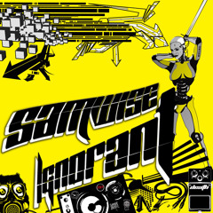 Samwise Vs Karl Oft, Sanna Hartfield, GT Solo, KoolKeith, 2Live Crew, BustaRyhmes, and Public Enemy