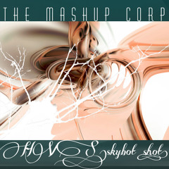The Mashup Corporation - HVS (mynameisToby mix) 320K