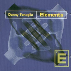 Danny Tenaglia - Elements (Burak Gurturk Remix) *Preview*