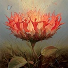 Derron S. - Ecstatic Dance