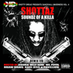 01-Capleton-Bun Di Beast-FRP