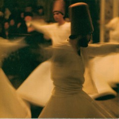 Evolution Theme/Safari Zone [Remix]