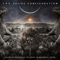 The Saturnalian Brotherhood