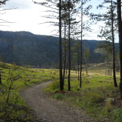 Windowpane- My Kind of Karma (My Kind of E.P.)