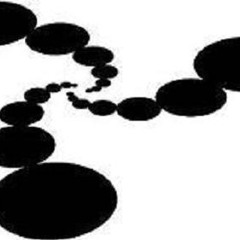 Still Doe - Happiness