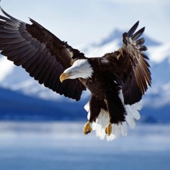 Fly Like An Eagle - Sad Sakabones (Steve Miller Band Cover)