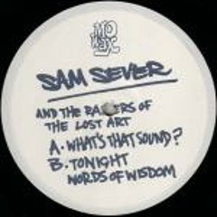 SAM SEVER - What's that sound
