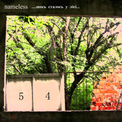 14. Nameless (UA, Ternopil) - Something happened in the woods