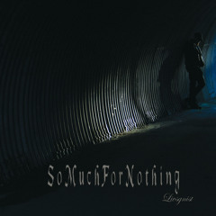 SO MUCH FOR NOTHING - Perfect
