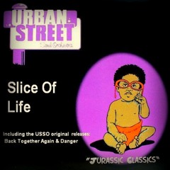 URBAN STREET SOUL ORCHESTRA  - "JUST A MATTER OF TIME"