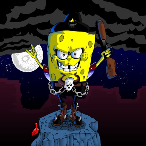 Picnoize - sponge of the forest
