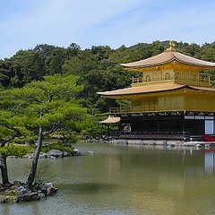 Spifire on Kyoto (Tyler Buck Mashup)