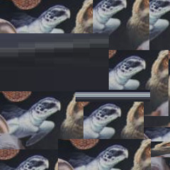 didgereegodoo