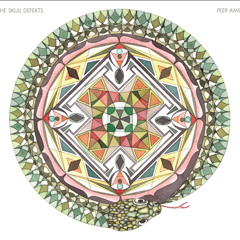 The Skull Defekts - Peer Amid