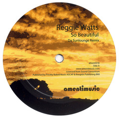 Reggie Watts - So Beautiful (OFS & OD Remix)