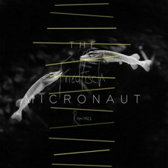 The Micronaut - Schleie (Mollono.Bass Remix)