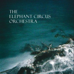 The Elephant Circus - San Franzisco