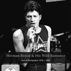 Herman Brood - Rock n Roll Junkie (live)