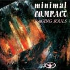 Minimal Compact - Autumn Leaves