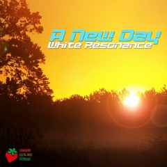 White Resonance - A New Day (Duar Vila Remix) LO-FI Sample