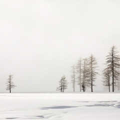 Quite Another (Variability)