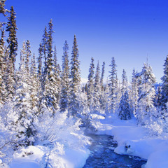 X-From - Snow Dreams