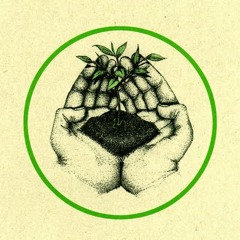 Emanuele Errante - Fecunda