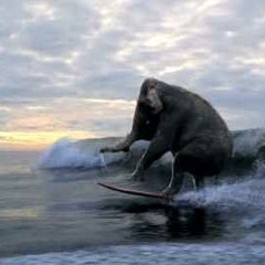 Dirty Heaven & Coco~Splat - Surf Elephant