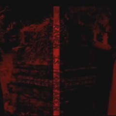 Veil of darkness