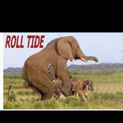 Roll tide